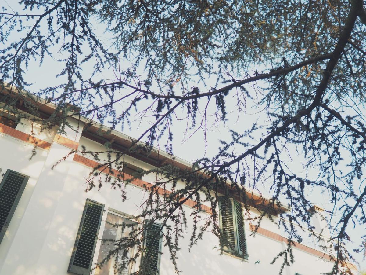 Villa Monti Колли-дель-Тронто Экстерьер фото